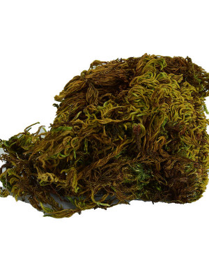 Yosun Su Yosunu Doğal 100 Gr Paket