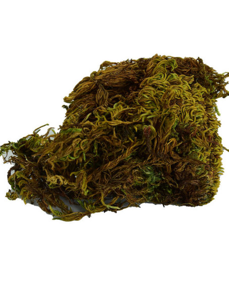 Yosun Su Yosunu Doğal 100 Gr Paket