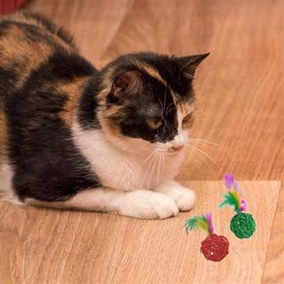CLZ303  2li Rattan Renkli Peluş Tüy Kedi Köpek Oyuncak Yakalama Çiğneme Çıngıraklı Top Oyuncağı