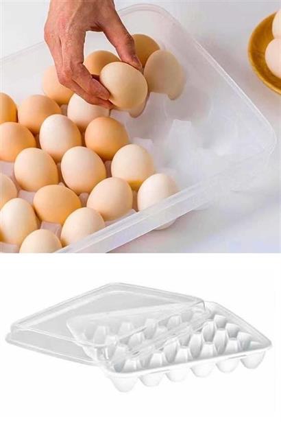 CLZ303  30lu Yumurta Saklama Kabı