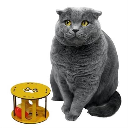 CLZ303   Ahşap Kafes Renkli Toplu Kedi Patisi Desenli Sesli Kedi Oyuncağı