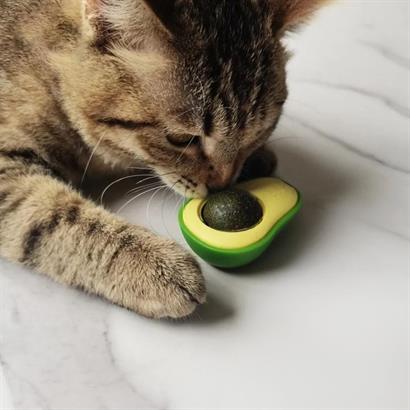 CLZ303  Avokado Model Yapışkanlı Kedi Oyuncağı Yenilebilir Kedi Nanesi Otu