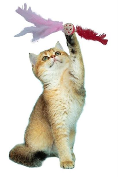 CLZ303  Tüylü Püsküllü Kedi Oyuncağı Dikkat Çekici Renkli Sevimli Evcil Hayvan Oyuncağı