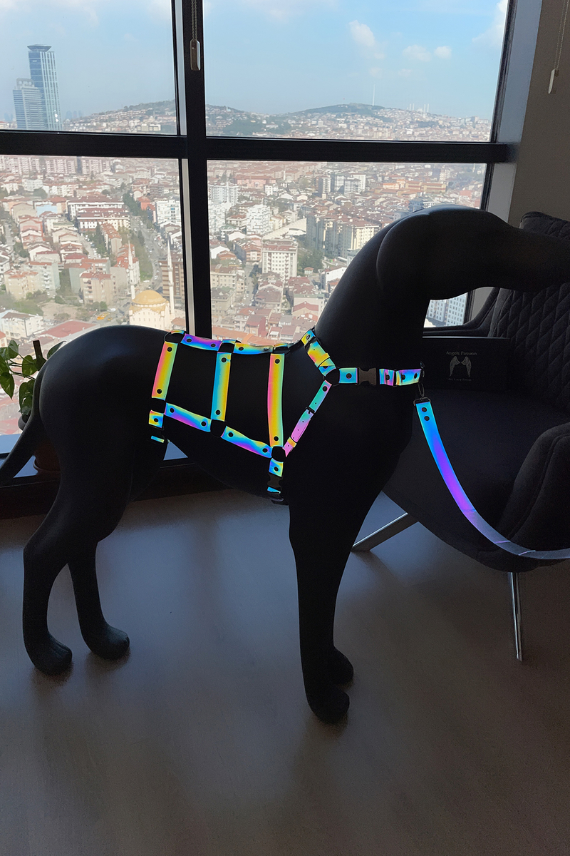 CLZ41 Ayarlanabilir, Vücudu Saran, Güzel Gözüken Özel Tasarım Reflektörlü Köpek Harness - Ürün Rengi:Rainbow Reflektör