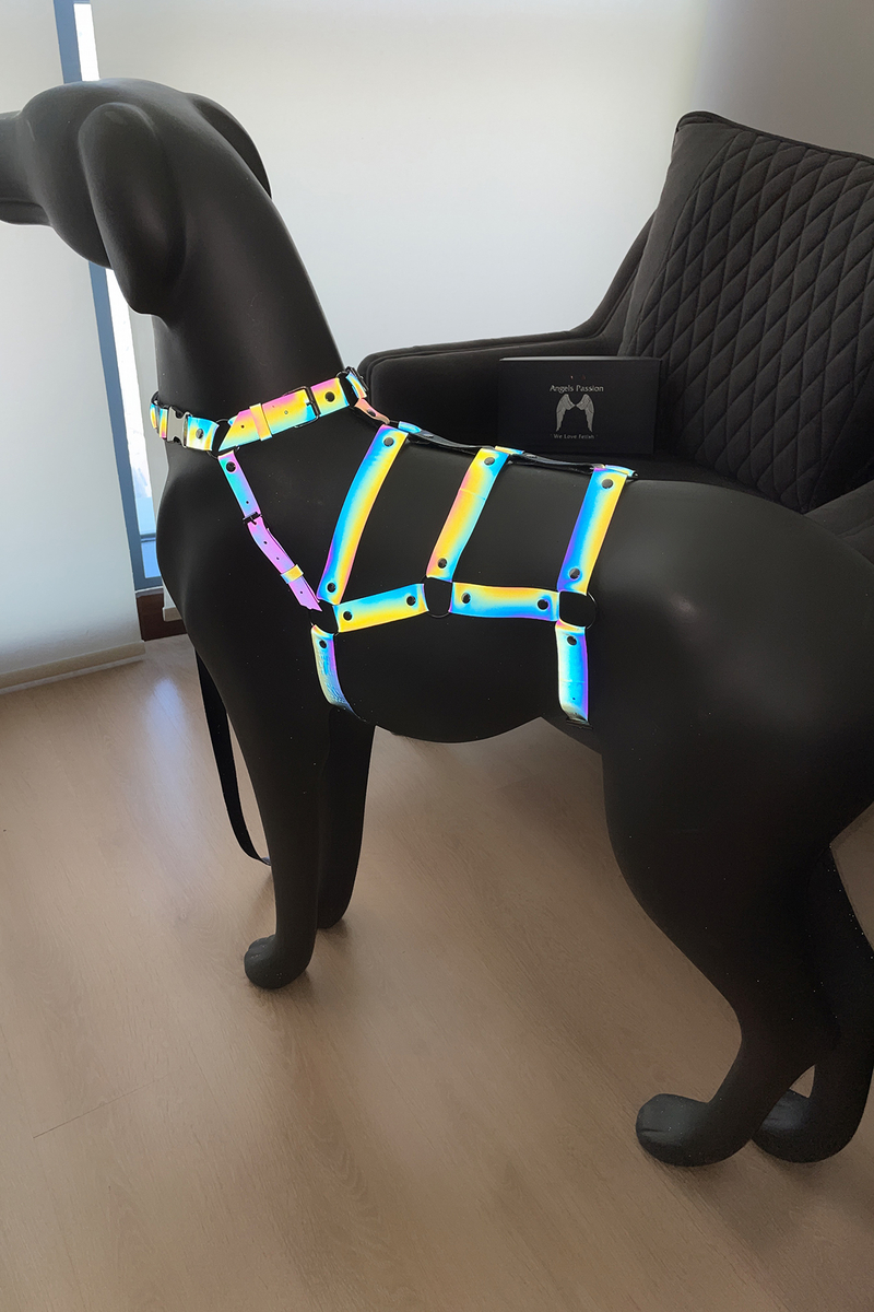 CLZ41 Ayarlanabilir, Vücudu Saran, Güzel Gözüken Özel Tasarım Reflektörlü Köpek Harness - Ürün Rengi:Rainbow Reflektör