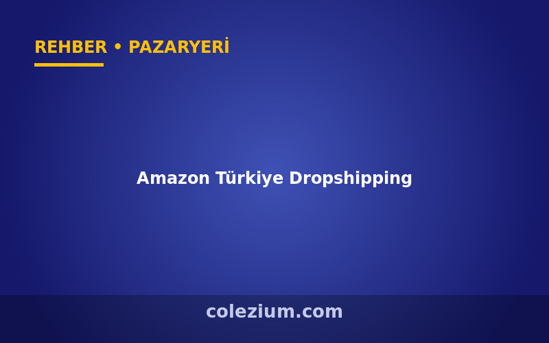 Amazon Türkiye Dropshipping ve Bayilik Rehberi