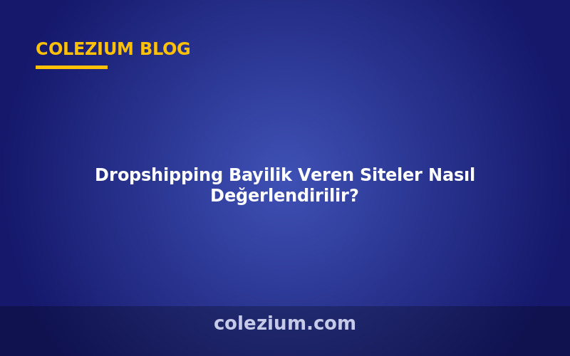 Dropshipping Bayilik Veren Siteler Nasıl Değerlendirilir?