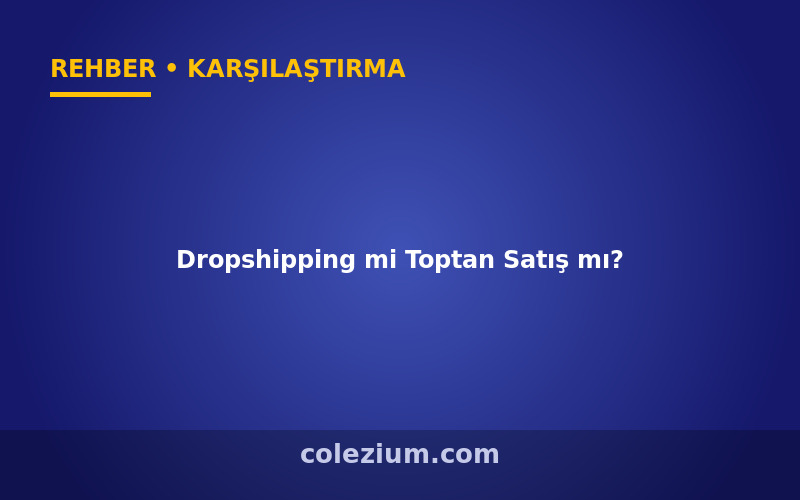 Dropshipping mi Toptan Satış mı? Karşılaştırma