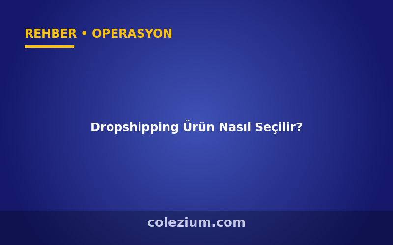 Dropshipping Ürün Nasıl Seçilir? Kazandıran Ürünler