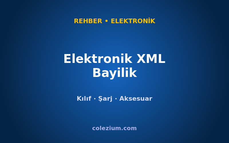 Elektronik XML Bayilik ve Dropshipping (Aksesuar)