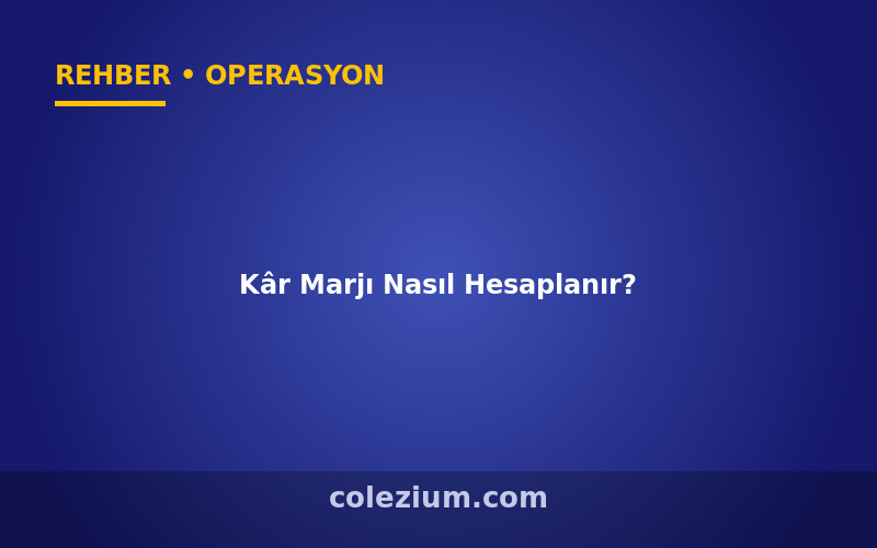 E-Ticarette Kâr Marjı Nasıl Hesaplanır? E-Ticarette Kâr Marjı Nasıl Hesaplanır?