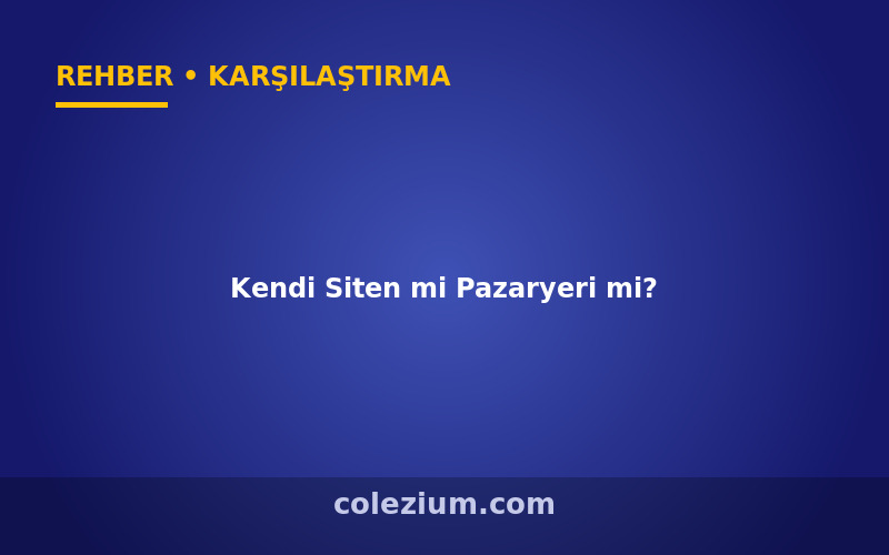 Kendi Siten mi Pazaryeri mi? E-Ticaret Kanalı Seçimi