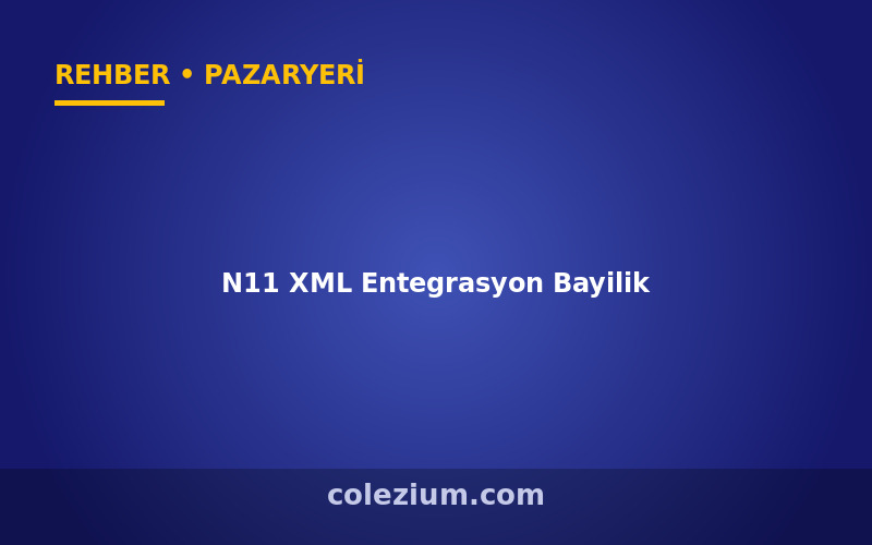 N11 XML Entegrasyon ve Dropshipping Bayilik Rehberi