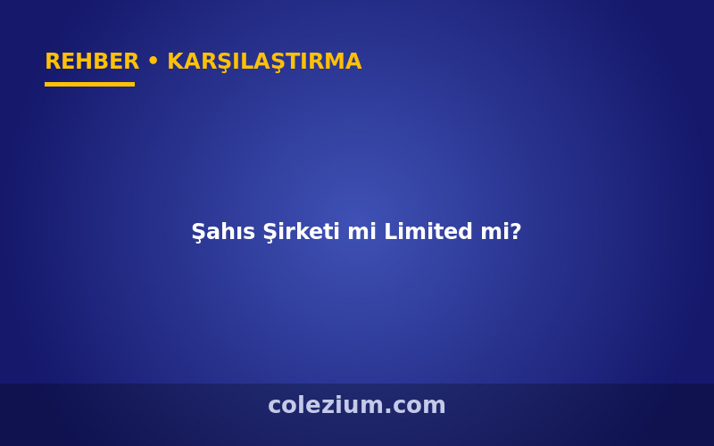 E-Ticaret İçin Şahıs Şirketi mi Limited mi?