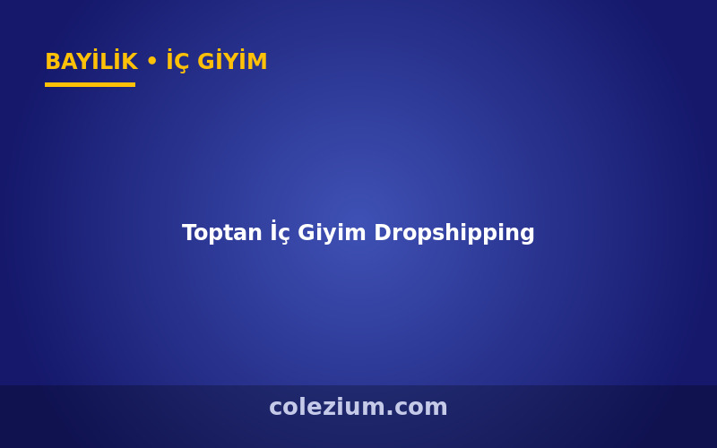 Toptan İç Giyim Dropshipping ve Bayilik Toptan İç Giyim Dropshipping ve Bayilik