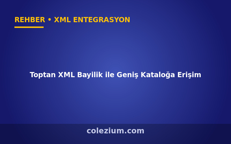 Toptan XML Bayilik ile Geniş Kataloğa Erişim