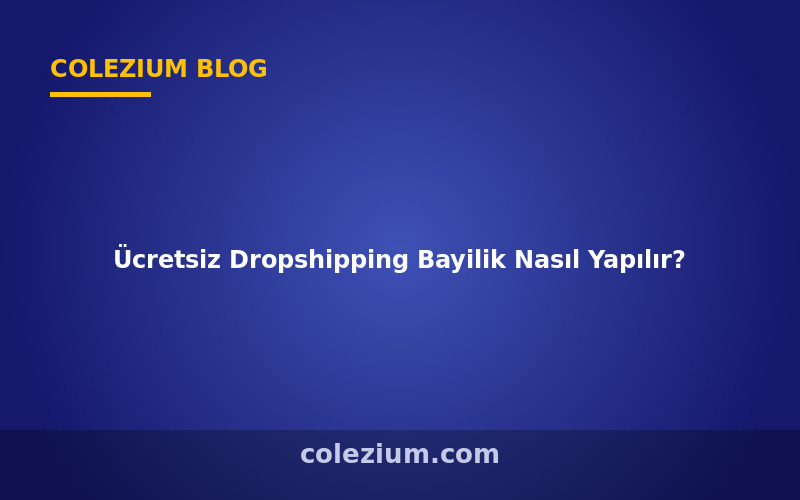 Ücretsiz Dropshipping Bayilik Nasıl Yapılır?