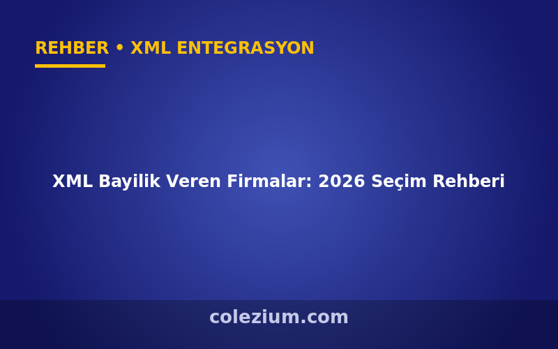XML Bayilik Veren Firmalar: 2026 Seçim Rehberi