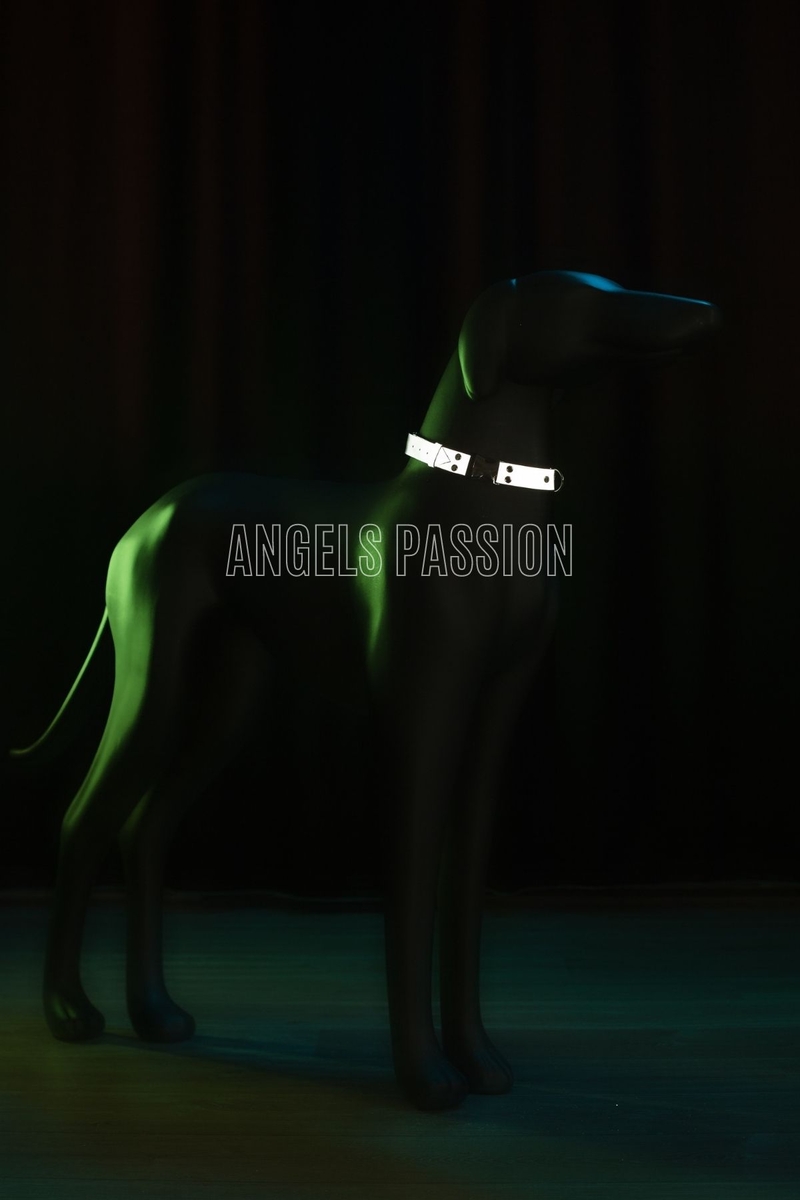CLZ41 Güvenlik Öncelikli Köpek Tasması, Reflektörlü Şık Köpek Boyun Tasması - Ürün Rengi:Beyaz