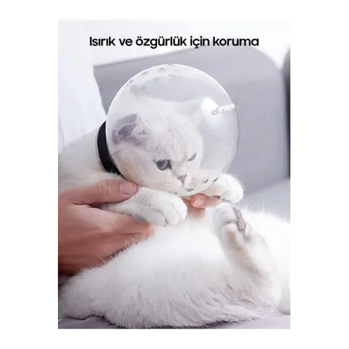 Kedi Bakım Ve Koruma Küresi