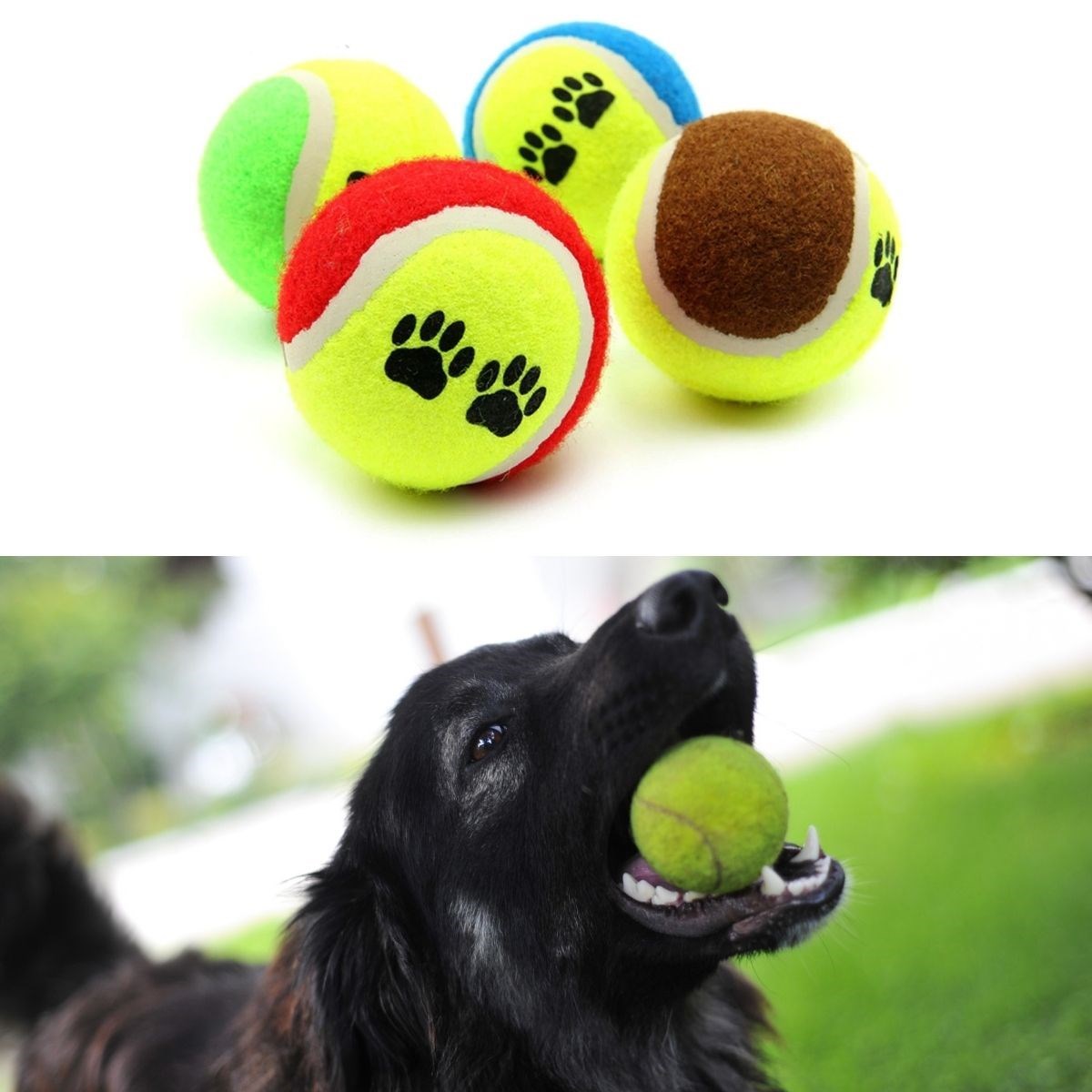 3&apos;lü Renkli Desenli Tenis Topu Kedi Köpek Oyuncağı (4767)