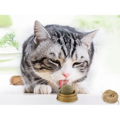 CLZ192 Kedi Nanesi Cat Mint Oyun Topu