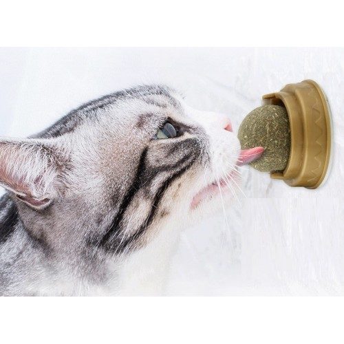 CLZ192 Kedi Nanesi Cat Mint Oyun Topu