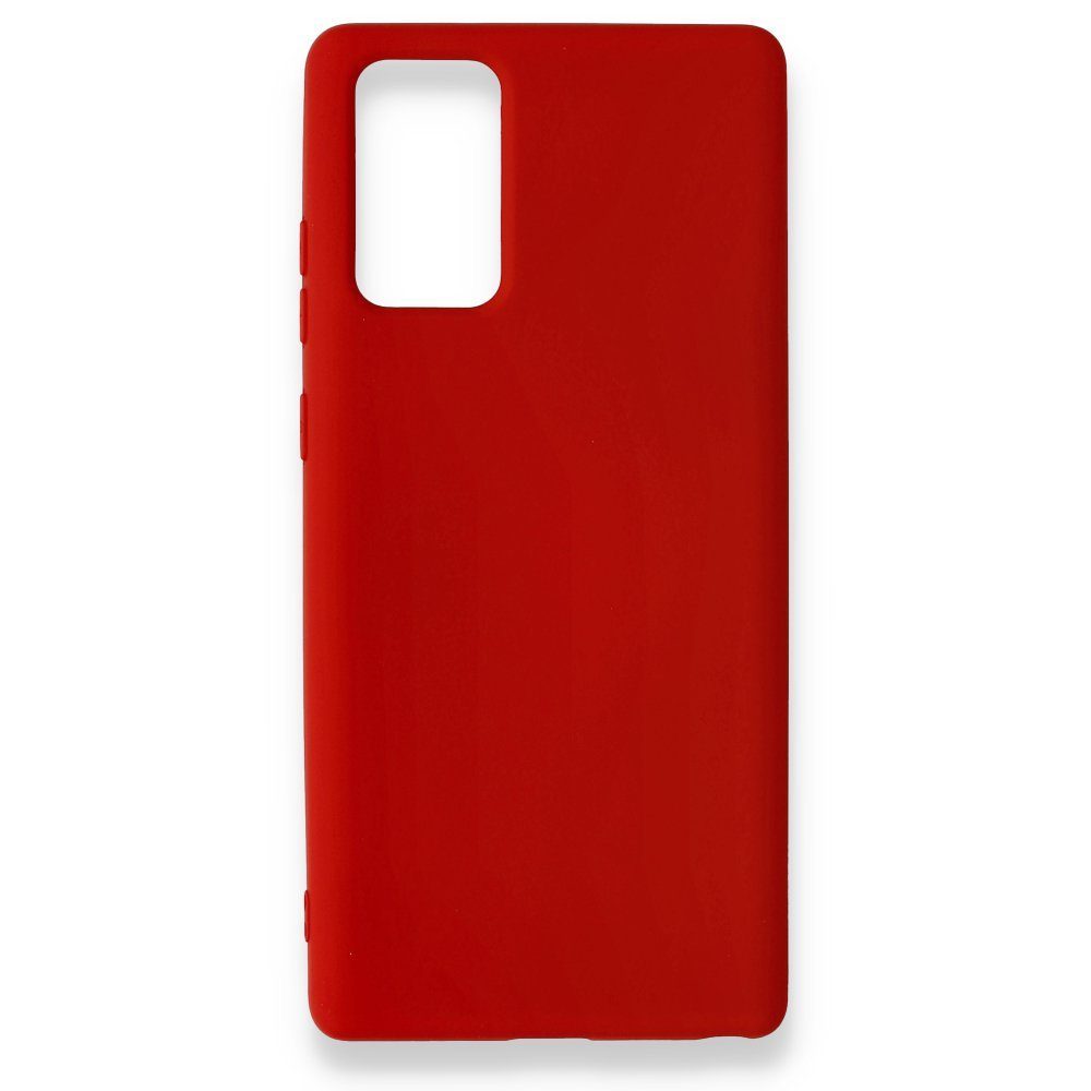 CLZ942 Samsung Galaxy Note 20 Kılıf Nano İçi Kadife  Silikon - Ürün Rengi : Pudra