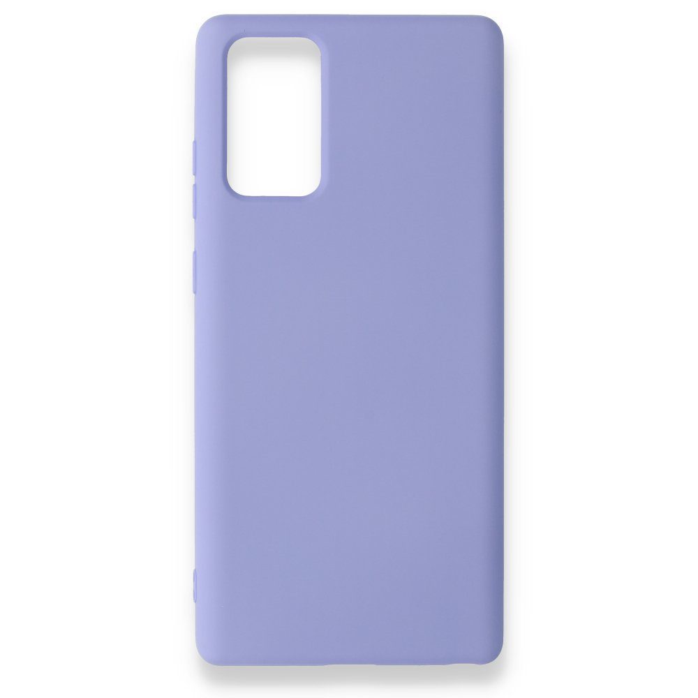CLZ942 Samsung Galaxy Note 20 Kılıf Nano İçi Kadife  Silikon - Ürün Rengi : Pudra