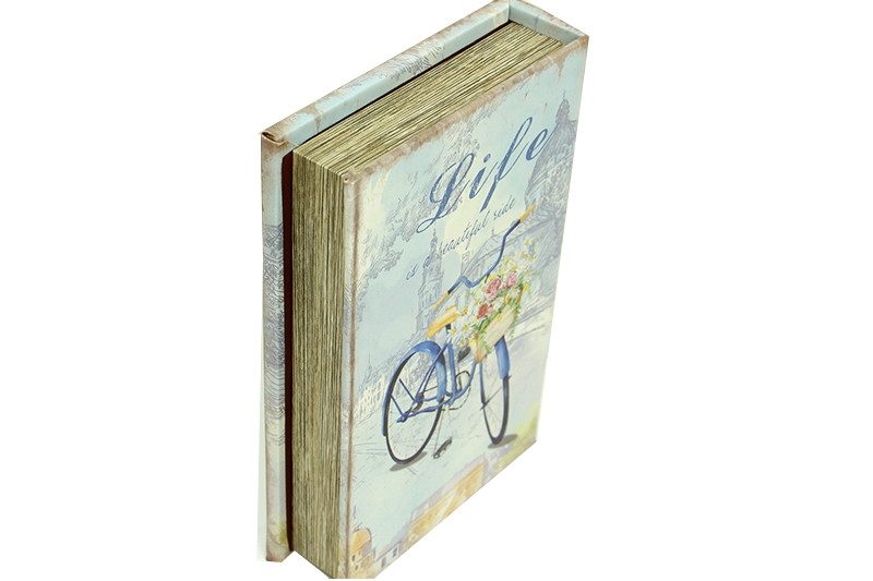 CLZ192 Kutu Kitap Aynalı Bisiklet
