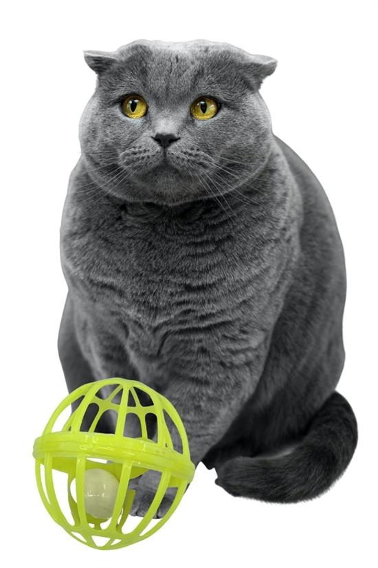 CLZ192 Kediler İçin Çanlı Renkli Tekerlekli İçinde Top Olan Kafes Şeklinde  Evcil Hayvan Oyuncağı (4172)
