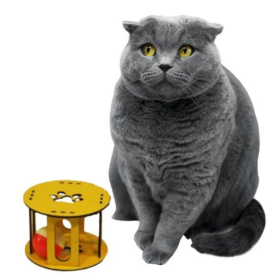 CLZ192 Ahşap Kafes Renkli Toplu Kedi Patisi Desenli Sesli Kedi Oyuncağı (4172)