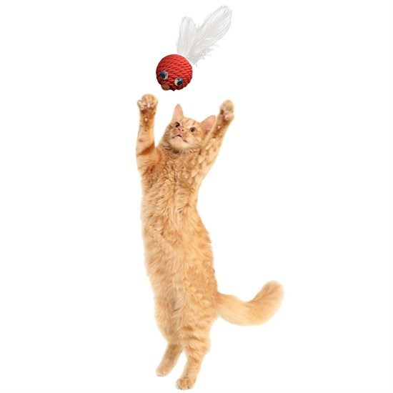 CLZ192 Renkli Hasır  Tüylü Oyun Topu (catnipli) İlgi Çekici Eğlenceli  Eğitici Evcil Hayvan Oyun (4172)