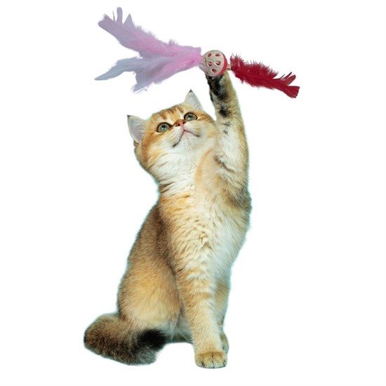 CLZ192 Tüylü Püsküllü kedi Oyuncağı dikkat Çekici Renkli Sevimli Evcil Hayvan Oyuncağı (4172)