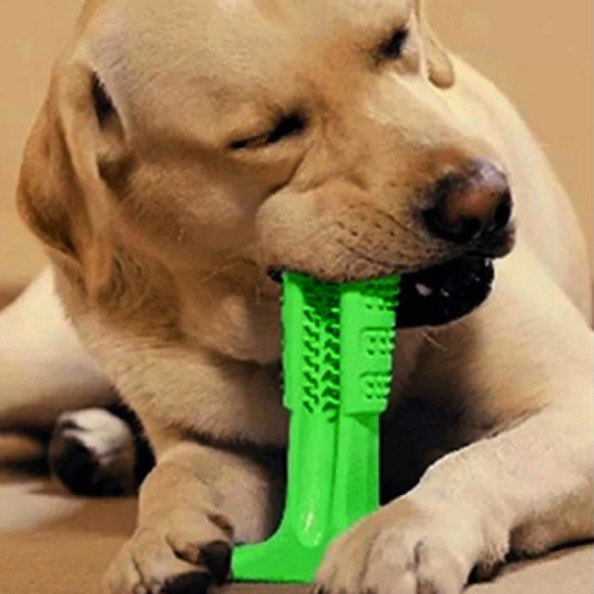 CLZ192 Köpek Diş Temizleyici Ve Kaşıyıcı Sağlıklı Küçük Boy Oyuncak (4172)