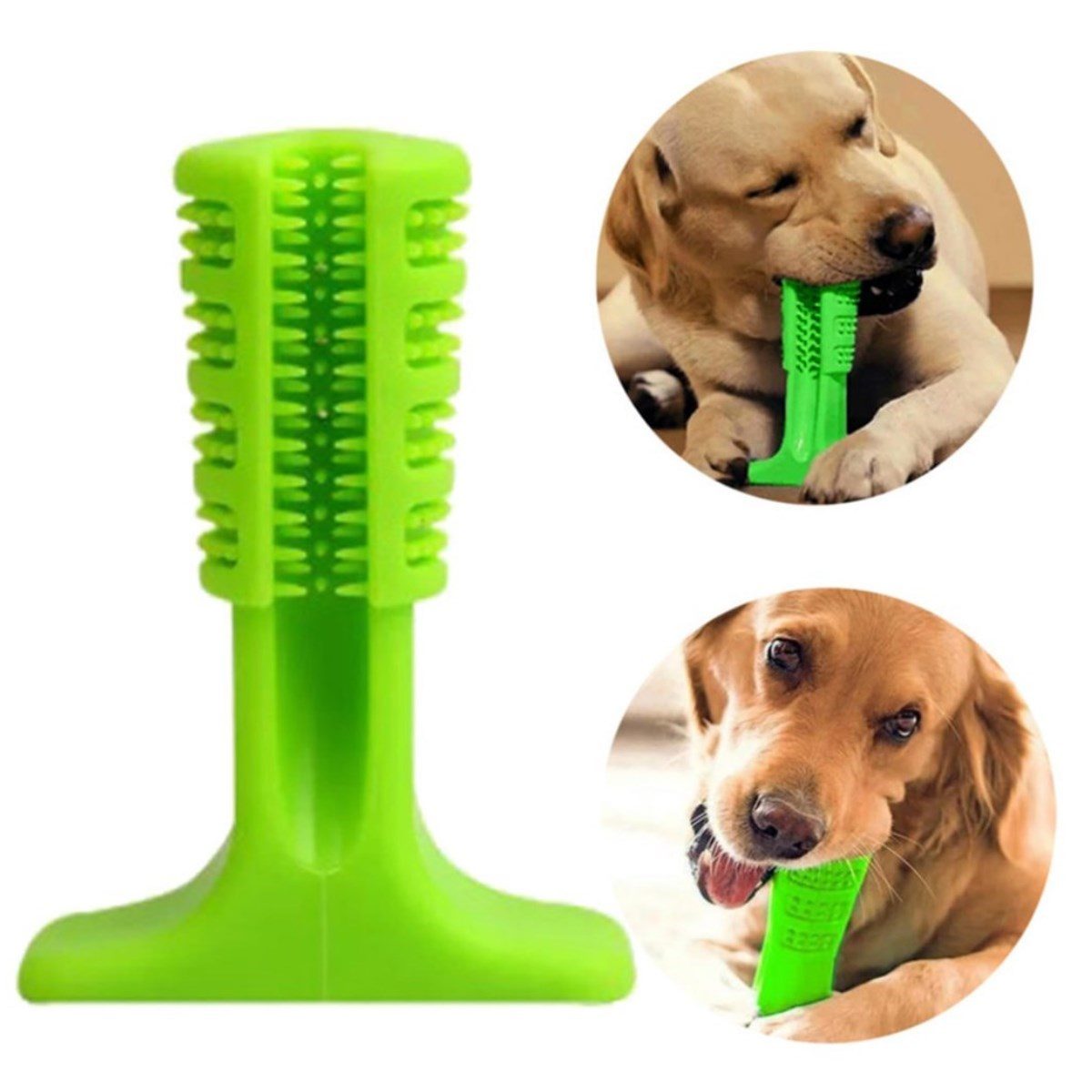 CLZ192 Köpek Diş Temizleyici Ve Kaşıyıcı Sağlıklı Küçük Boy Oyuncak (4172)