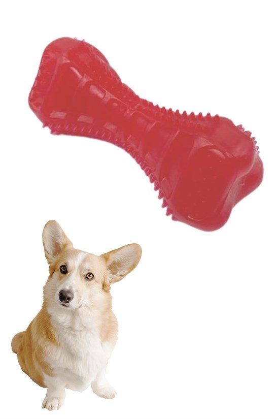CLZ192 Köpekler İçin Diş Kaşıma Oyuncağı Tırtıklı Yapıda Plastik Dumbell (4172)