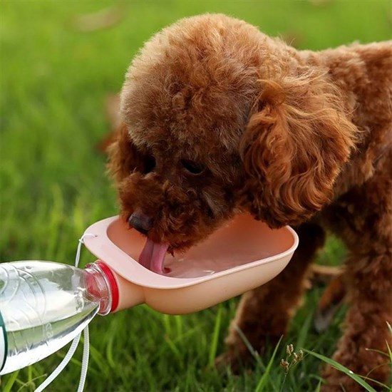 CLZ192 Evcil Hayvan Plastik Yıkanabilir Taşınabilir Su Şişesi Bağlantılı Su Kabı (4172)