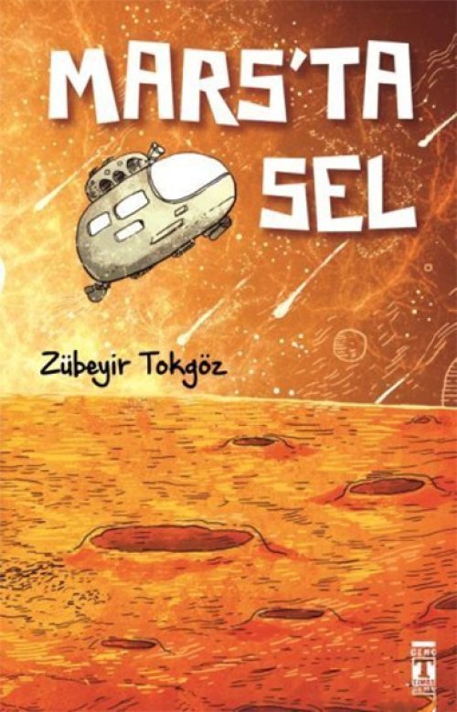 Mars'ta Sel Mars'ta Sel