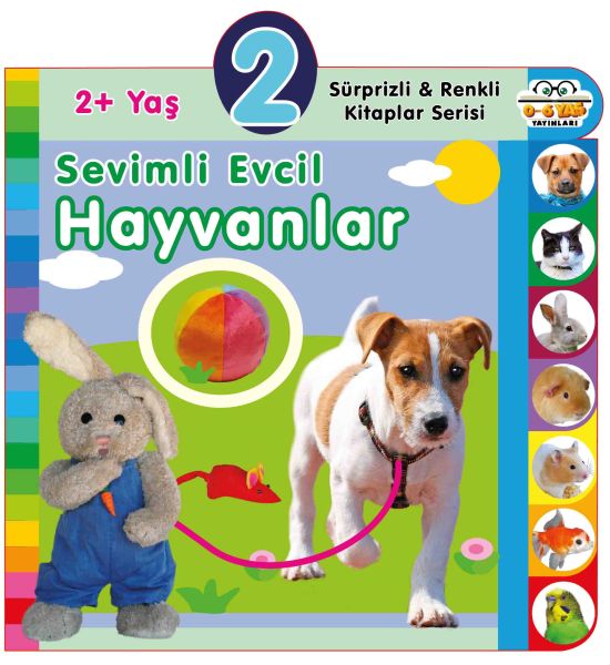 Yaş Sevimli Evcil Hayvanlar (2+Yaş) Yaş Sevimli Evcil Hayvanlar (2+Yaş)