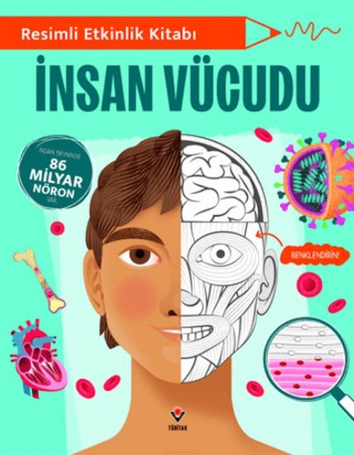 Resimli Etkinlik Kitabı - İnsan Vücudu Resimli Etkinlik Kitabı - İnsan Vücudu