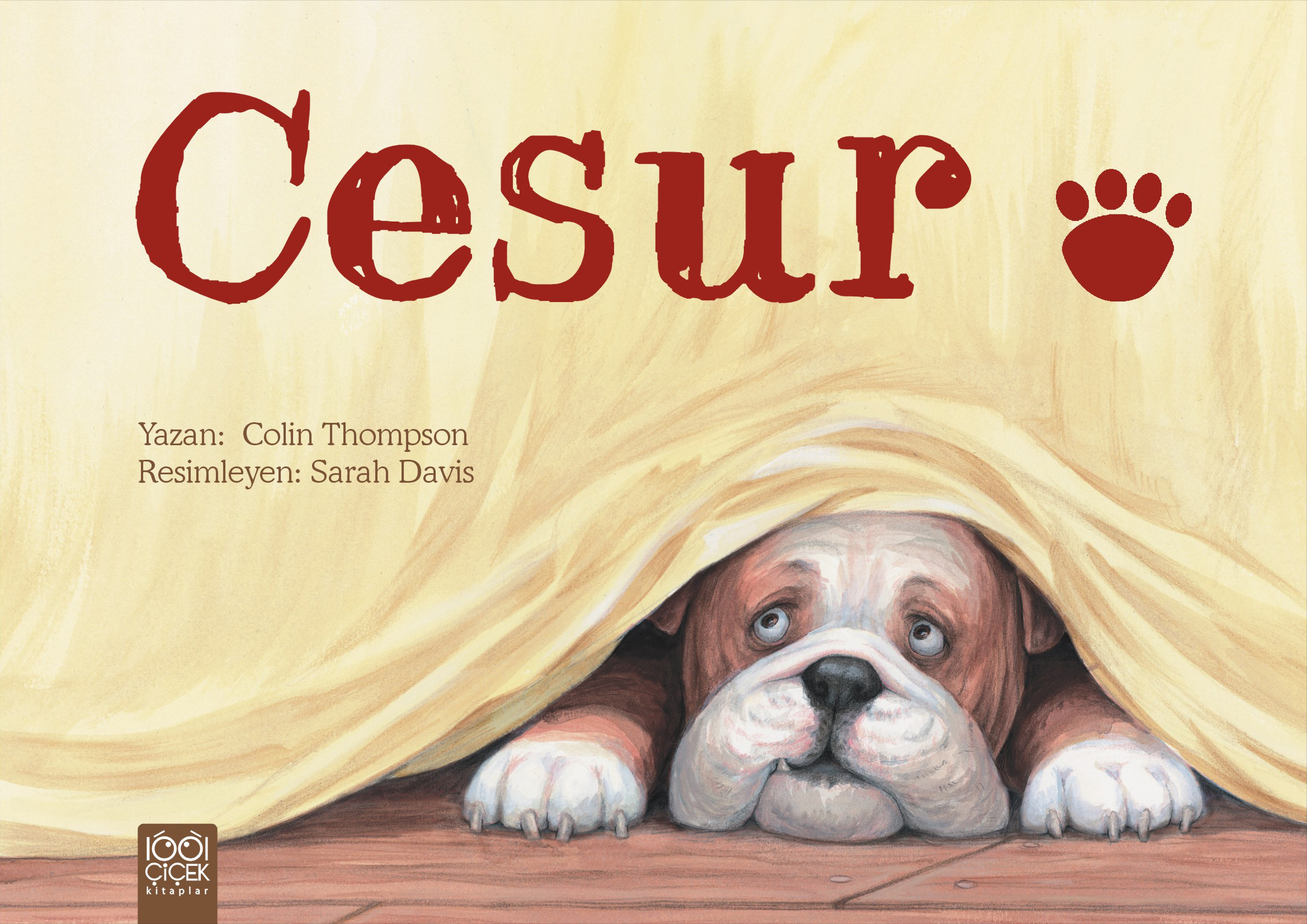 Cesur Cesur