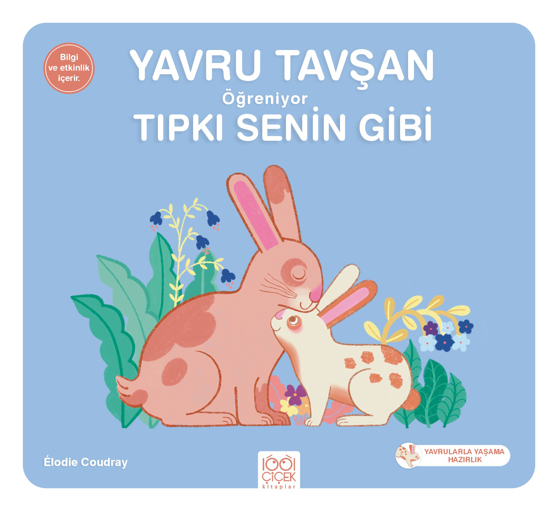 Yavru Tavşan Öğreniyor Tıpkı Senin Gibi Yavru Tavşan Öğreniyor Tıpkı Senin Gibi