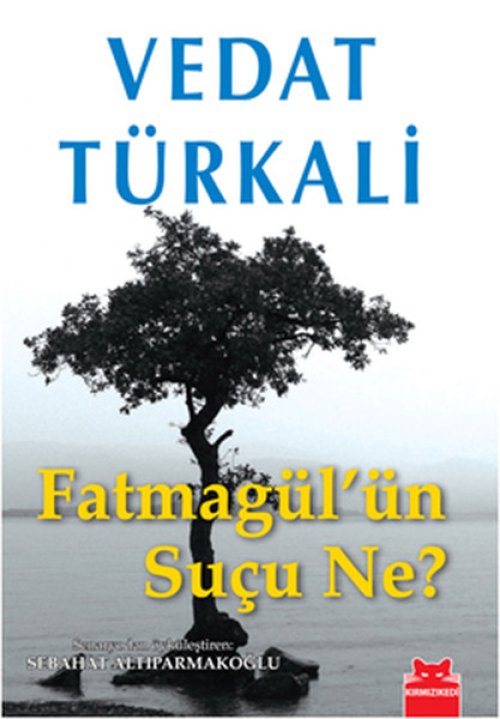 Fatmagül'ün Suçu Ne? Fatmagül'ün Suçu Ne?