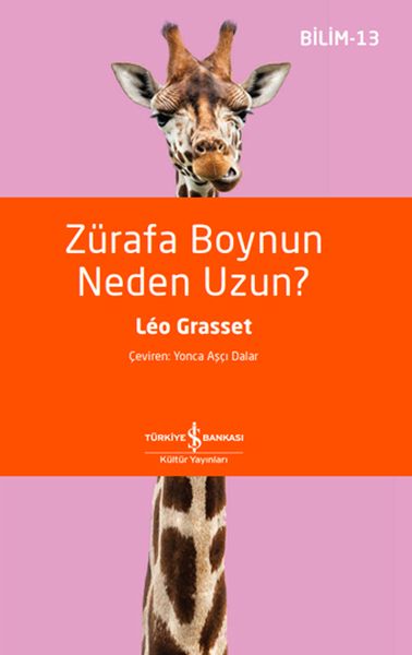 Zürafa Boynun Neden Uzun? Zürafa Boynun Neden Uzun?