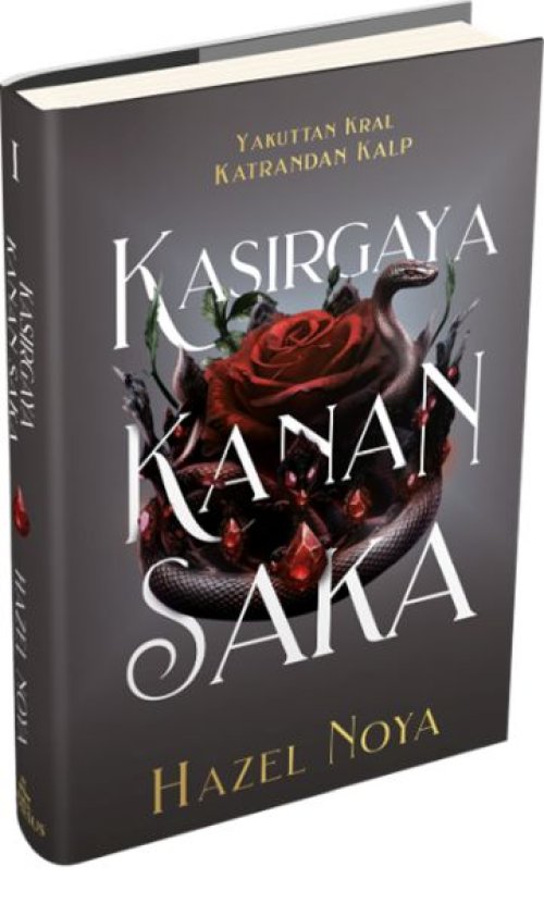 Kasırgaya Kanan Saka 1 (Ciltli) Kasırgaya Kanan Saka 1 (Ciltli)