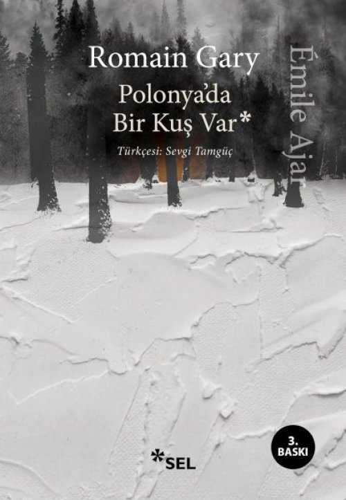 Polonya'da Bir Kuş Var