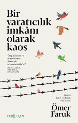 Bir Yaratıcılık İmkânı Olarak Kaos Bir Yaratıcılık İmkânı Olarak Kaos