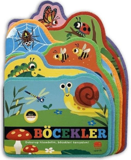 Bul Bakalım Böcekler Bul Bakalım Böcekler