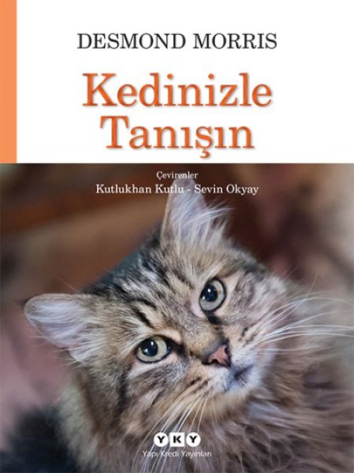 Kedinizle Tanışın Kedinizle Tanışın